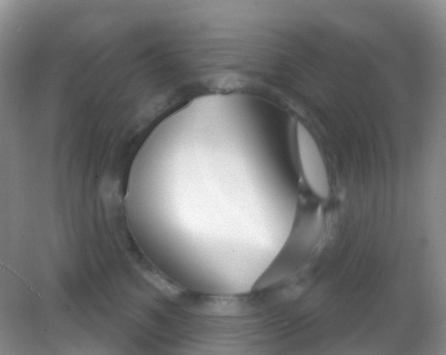X0000081620521200702051236