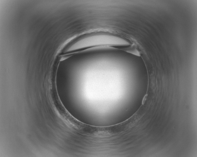 X0000081620536200702051235