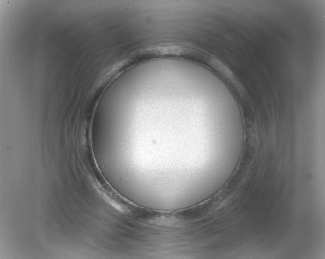 X0000081620537200702051235