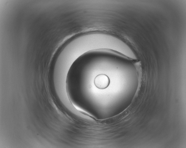 X0000081620540200702051235