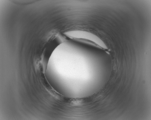 X0000081620560200702051235