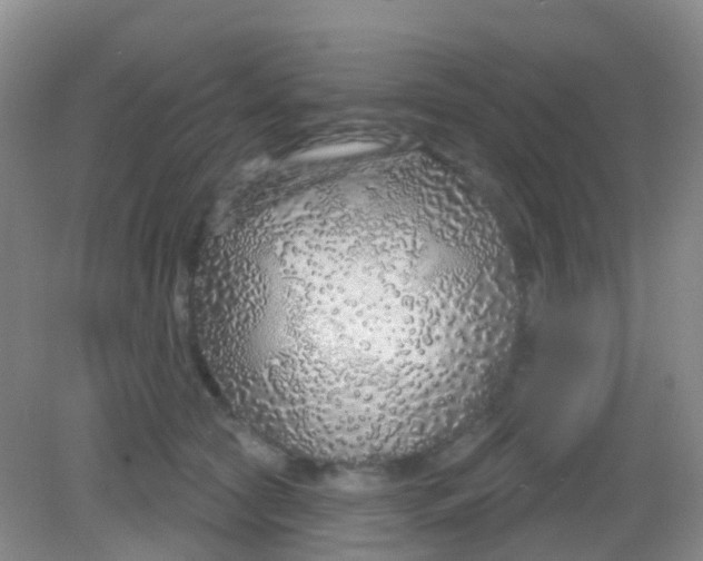 X0000081620561200702051235