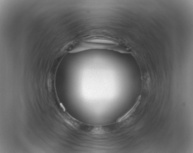 X0000081620562200702051236
