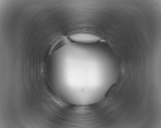 X0000081620567200702051236