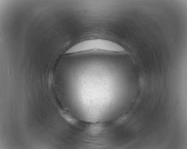 X0000081620574200702051236