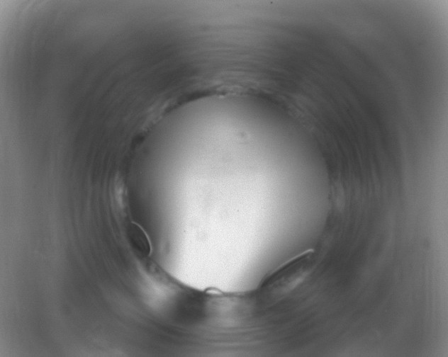 X0000081620575200702051236