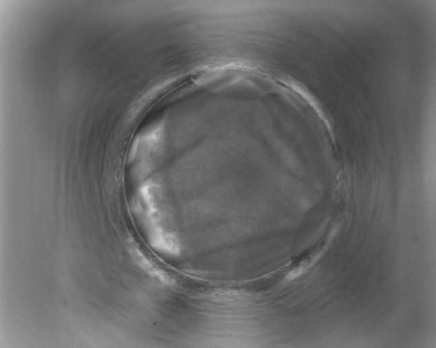 X0000081620577200702051235