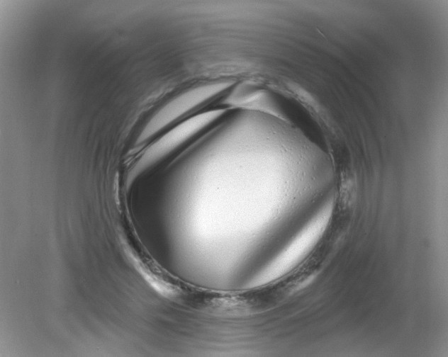 X0000081620589200702051235