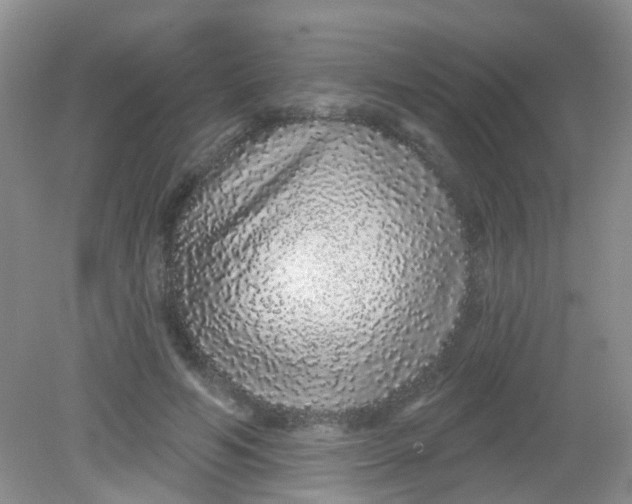 X0000081620594200702051235