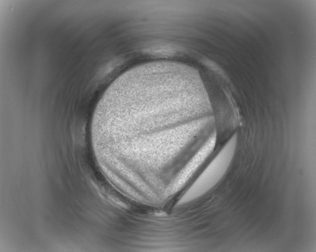 X0000081620596200702051235