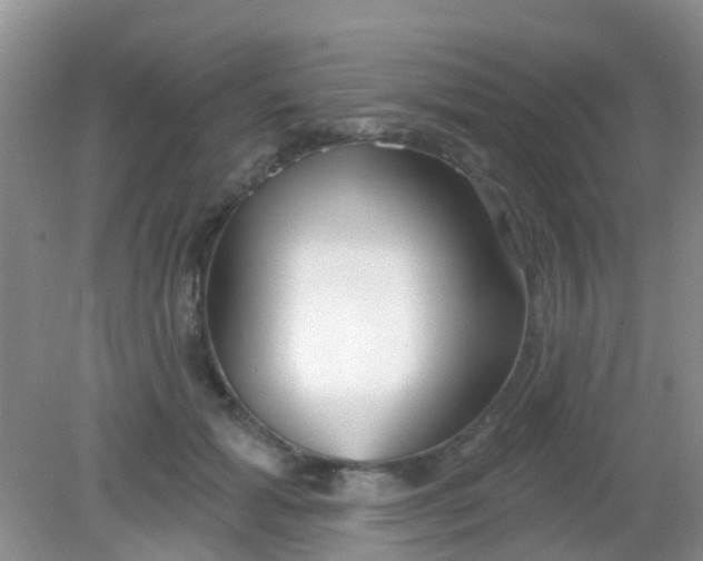 X0000081620605200702051234