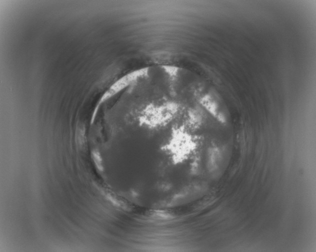 X0000081620610200702051234