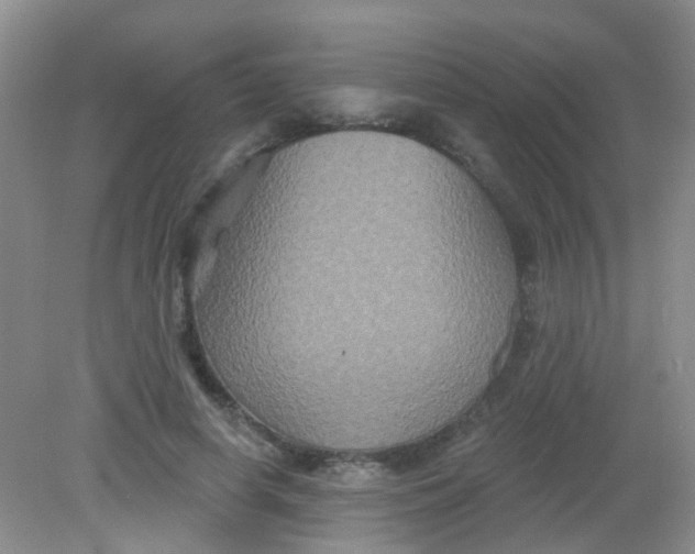 X0000081620642200702051234