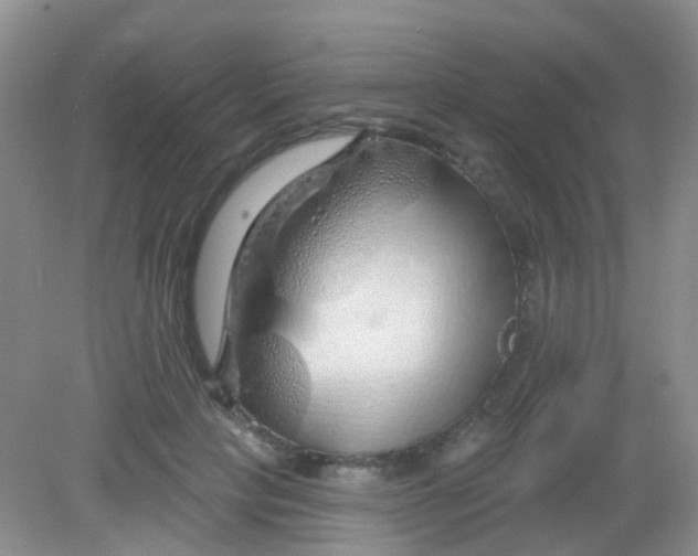 X0000081620649200702051234