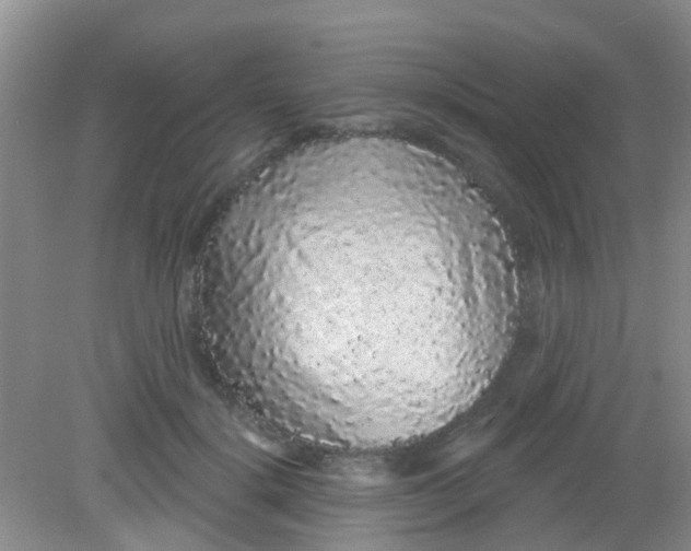 X0000081620652200702051234