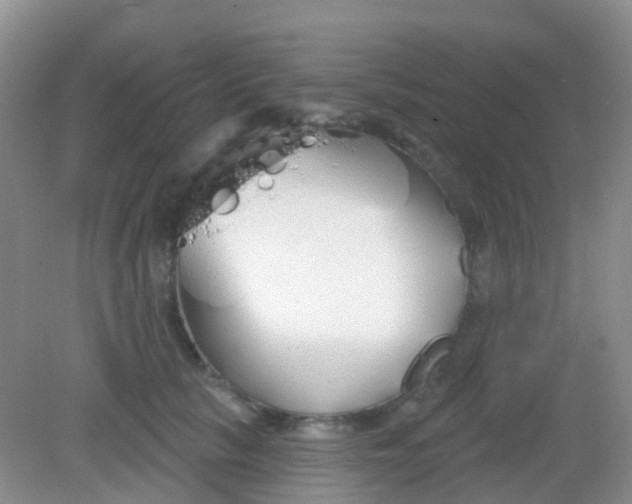 X0000081620657200702051234
