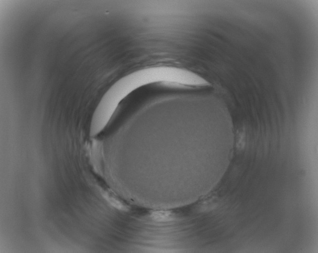 X0000081620666200702051234