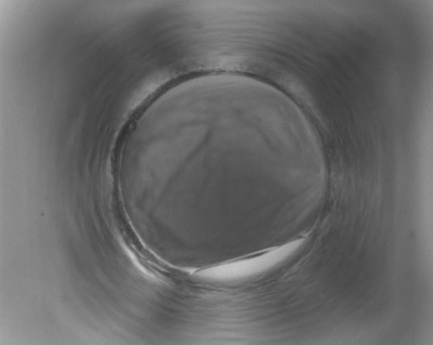 X0000081620674200702051233
