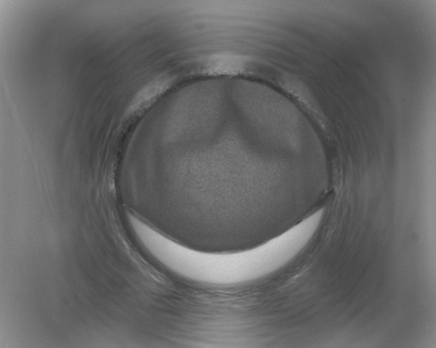 X0000081620681200702051233
