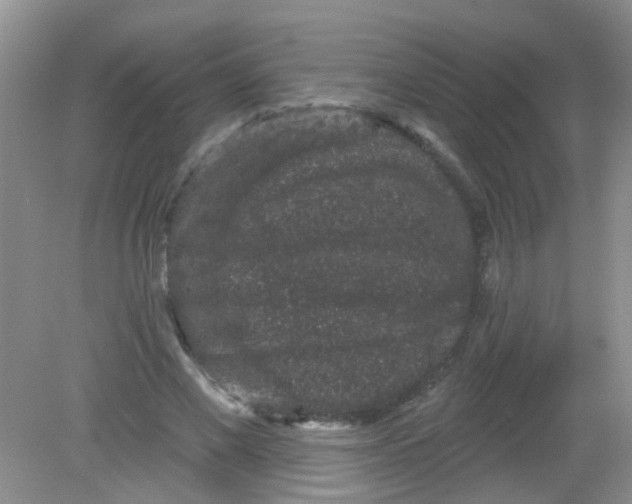 X0000081620685200702051233