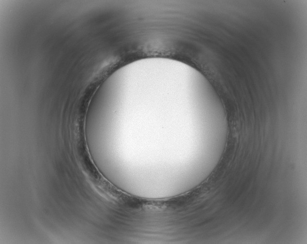 X0000081620690200702051233