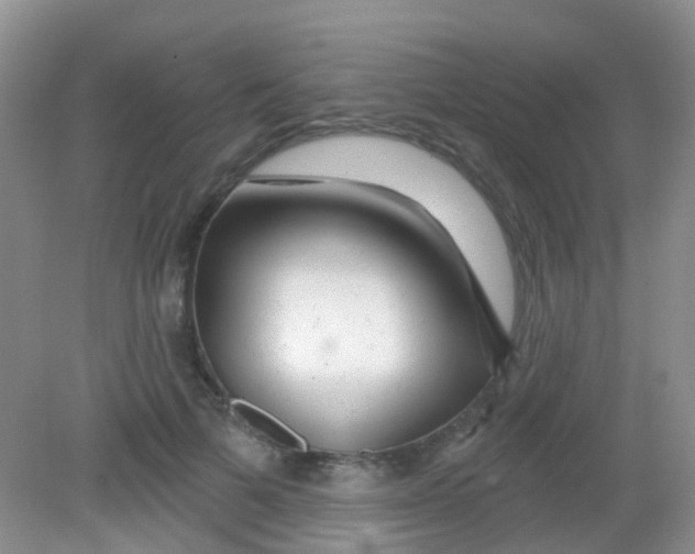 X0000081620697200702051233