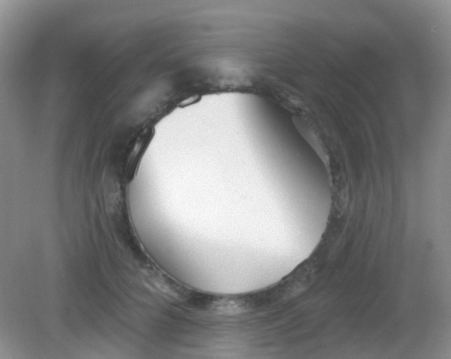 X0000081620704200702051233