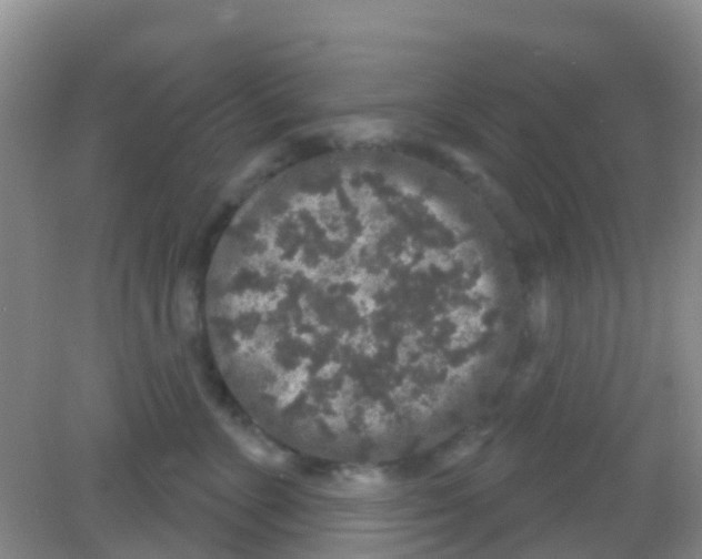 X0000081620715200702051233