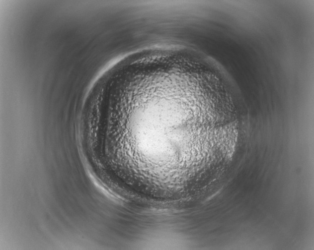 X0000081620726200702051232