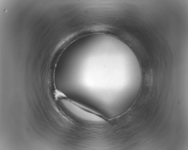X0000081620732200702051232
