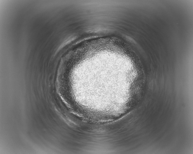 X0000081620735200702051232