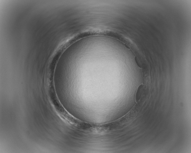 X0000081620736200702051232