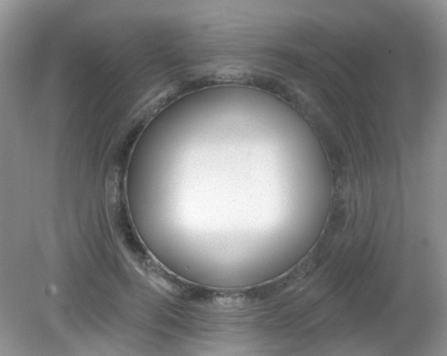 X0000081620744200702051232
