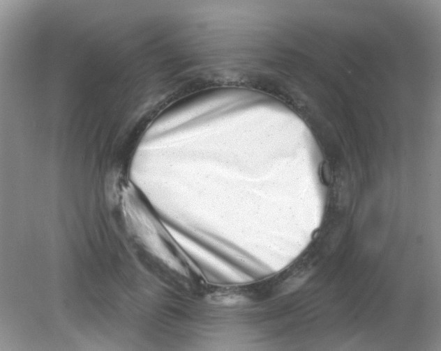 X0000081620747200702051232