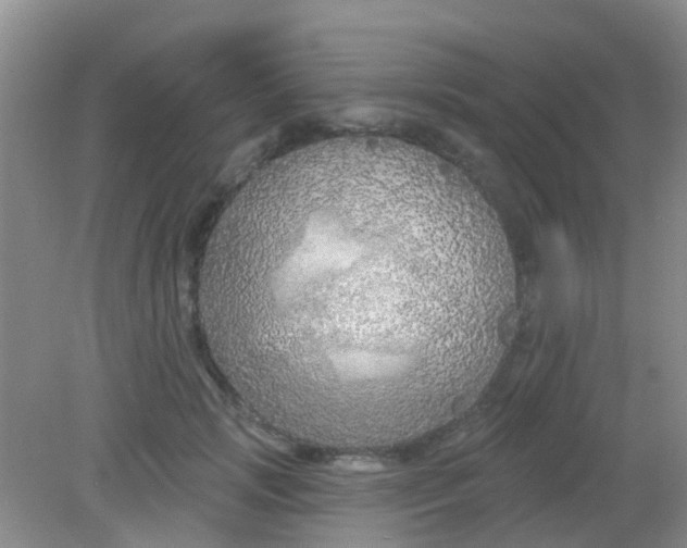 X0000081620749200702051232