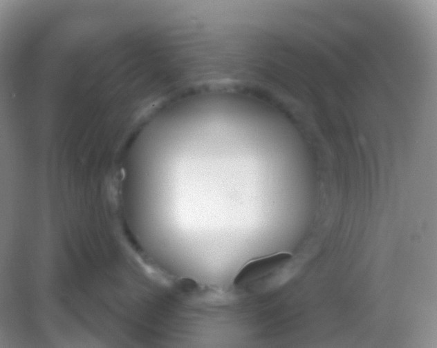 X0000081620768200702051232