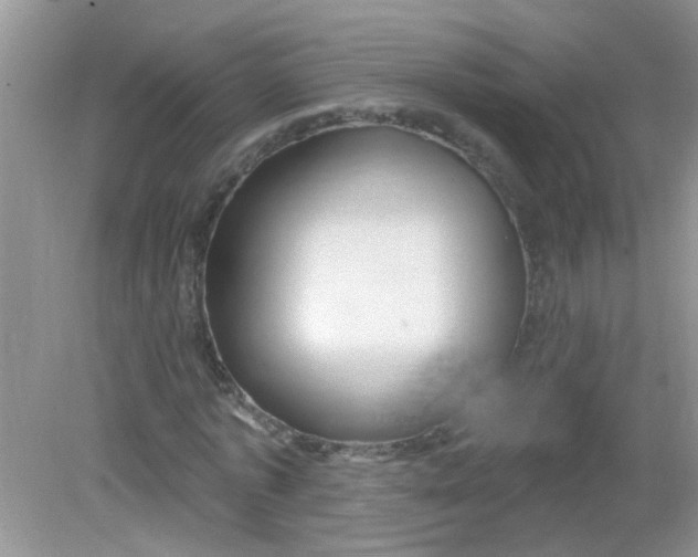 X0000081620773200702051232
