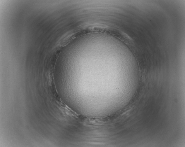 X0000081620774200702051232