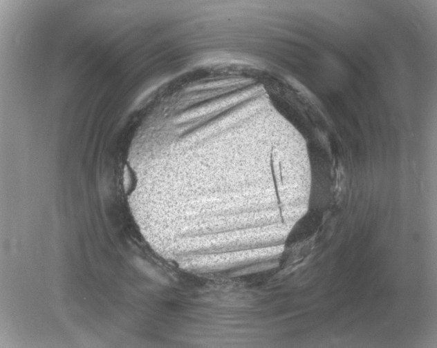 X0000081620775200702051232