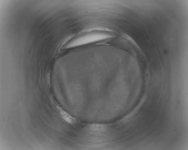 X0000081620777200702051232
