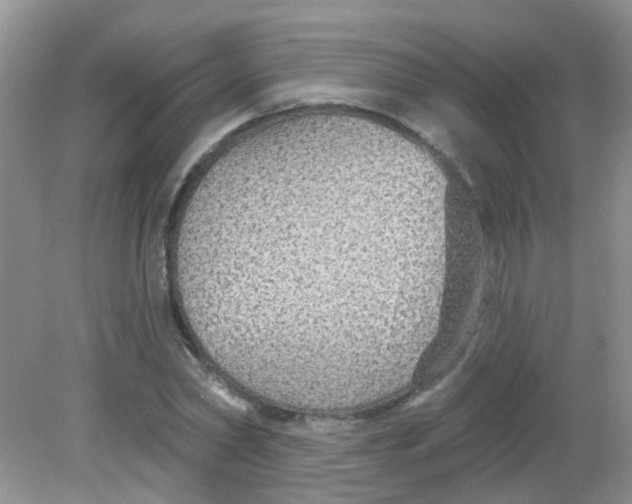 X0000081620782200702051231