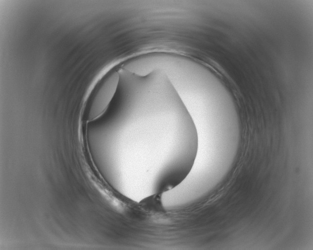 X0000081620788200702051231
