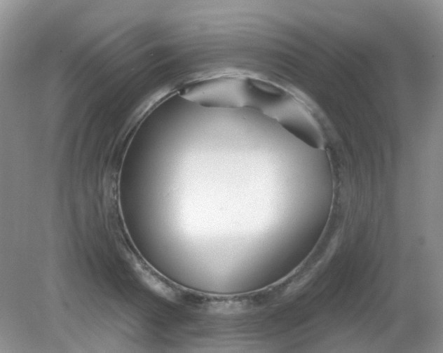 X0000081620793200702051231