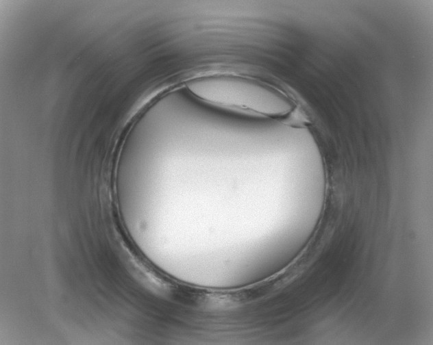 X0000081620794200702051231