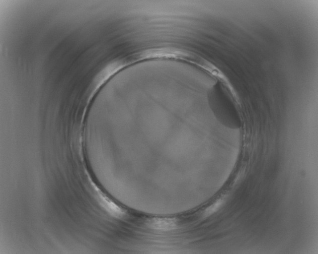X0000081620802200702051231