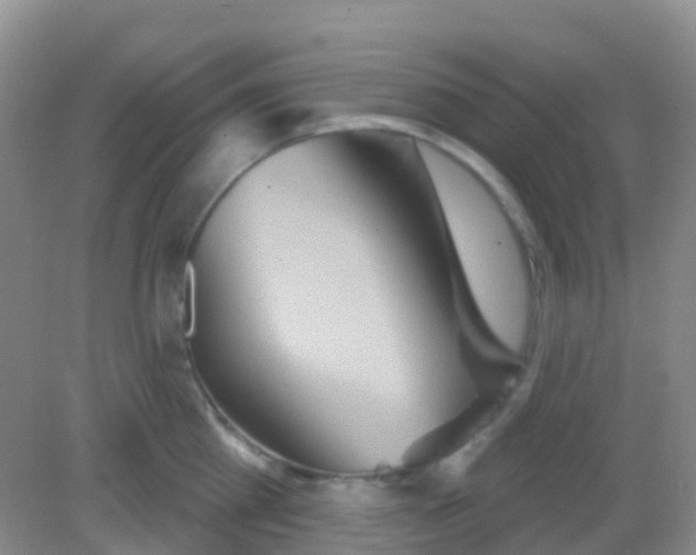 X0000081620809200702051231