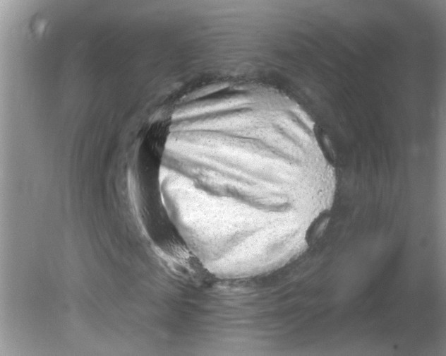X0000081620817200702051230