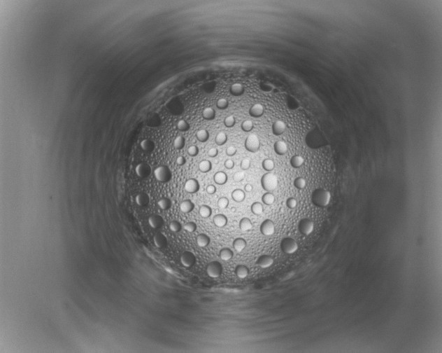 X0000081620821200702051230