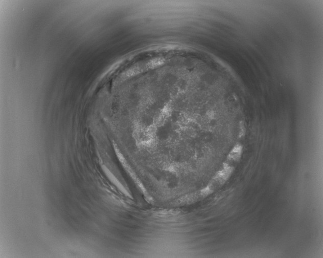 X0000081620823200702051230