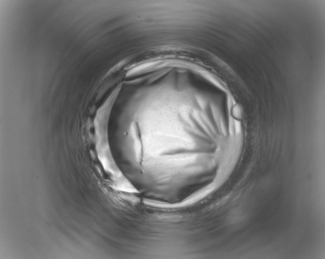 X0000081620825200702051230